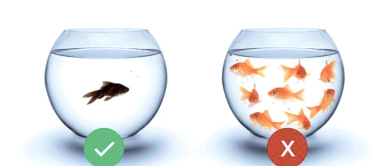 Su Yalıtımında Doğru Bilinen Yanlışlar