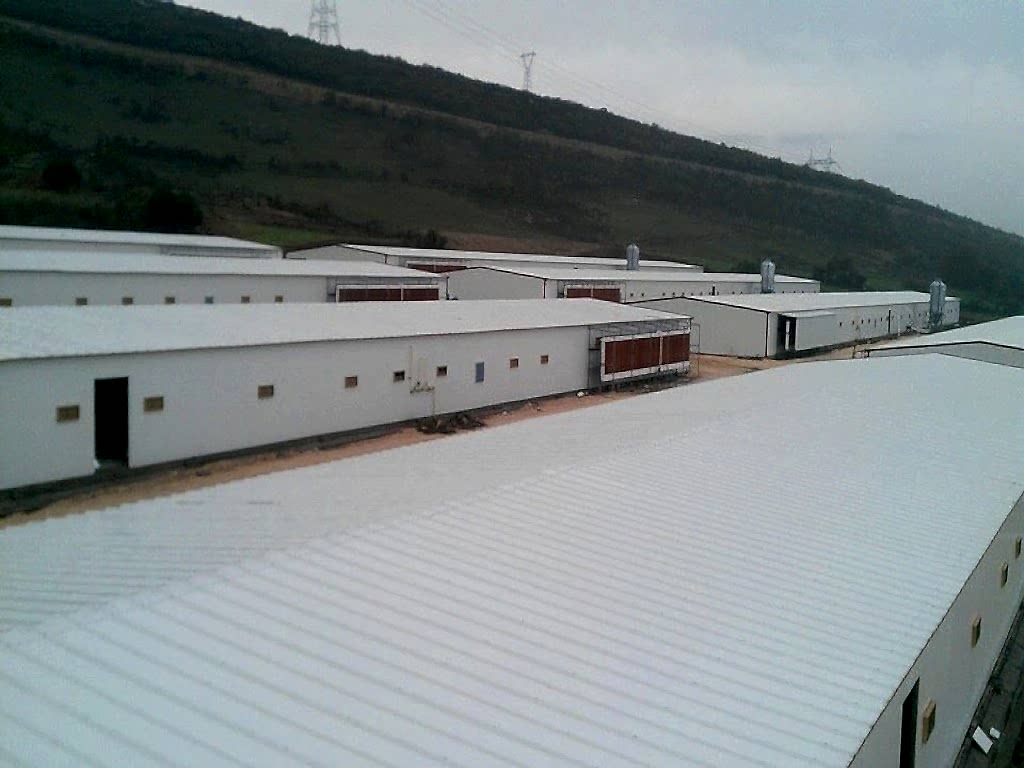 Tavuk Çiftliği Projemiz